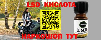 ешки Можга