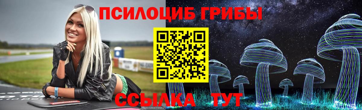 Сердобск  Псилоцибиновые грибы прущие грибы  Вход с VPN 
